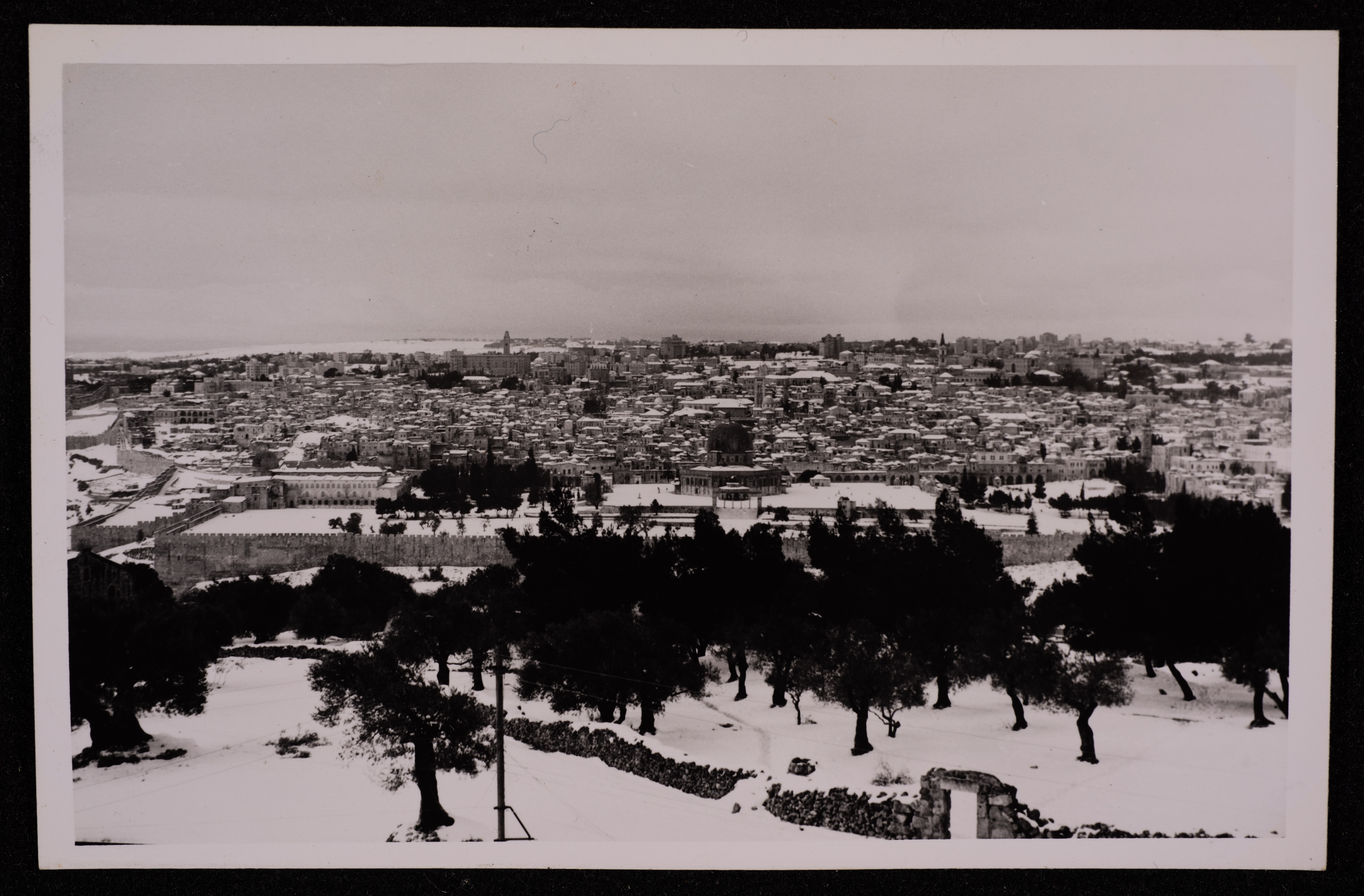 The Palestinian Museum Digital Archive - أرشيف المتحف الفلسطيني الرقمي ...