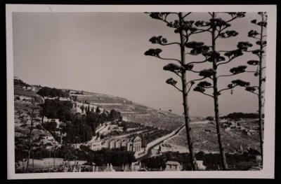 A Photograph of the Church of the Agony in Jerusalem, by Yousef Albina, the 1920s -30s 