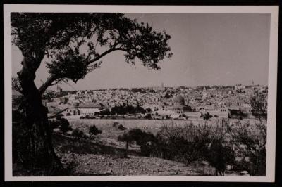صورة لقبة الصخرة  في مدينة القدس، تصوير يوسف البينا، عشرينيات وثلاثينيات القرن الماضي 