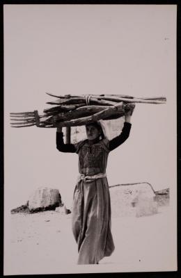 سيدة فلسطينية تحمل أدوات الحراثة الخشبية على رأسها، تصوير يوسف البينا، خمسينيات القرن العشرين
