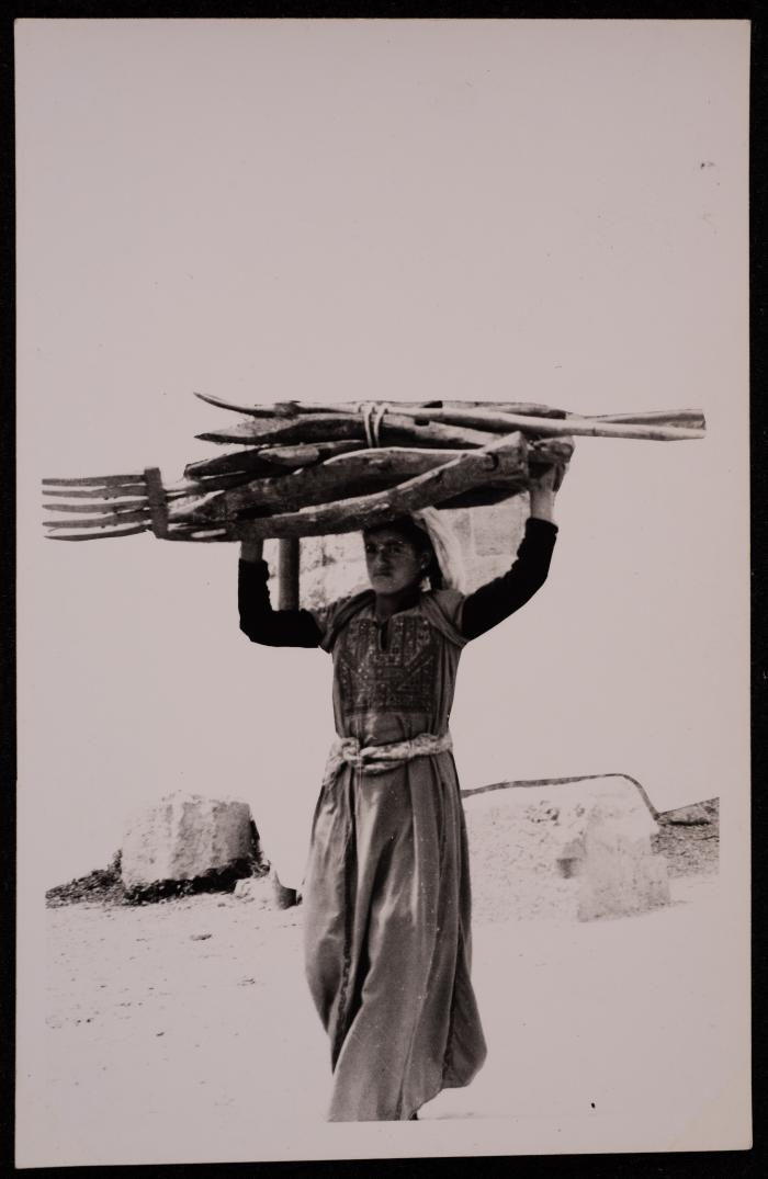 سيدة فلسطينية تحمل أدوات الحراثة الخشبية على رأسها، تصوير يوسف البينا، خمسينيات القرن العشرين
