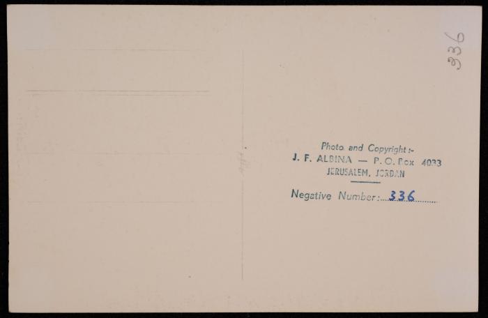 عين السلطان في أريحا، تصوير يوسف البينا، خمسينيات القرن العشرين