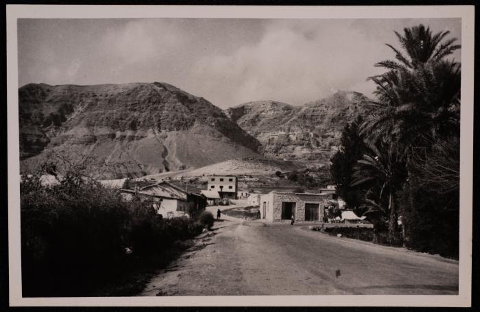 عين السلطان في أريحا، تصوير يوسف البينا، خمسينيات القرن العشرين