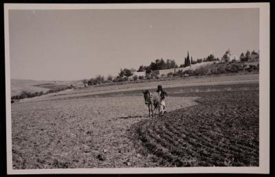 مزارع يحرث الأرض، تصوير يوسف البينا، خمسينيات القرن العشرين