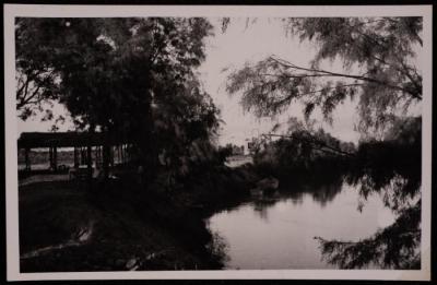 Al-Maghtas Site in the Jordan River, a Photograph, by Yousef Albine, the 1950s 
