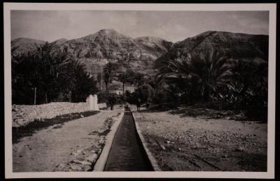 عين السلطان في أريحا، تصوير يوسف البينا، خمسينيات القرن العشرين