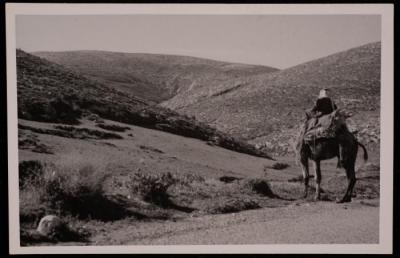 صورة لرجل يركب على جمل ، تصوير يوسف البينا، خمسينيات القرن الماضي 