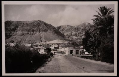 عين السلطان في أريحا، تصوير يوسف البينا، خمسينيات القرن العشرين