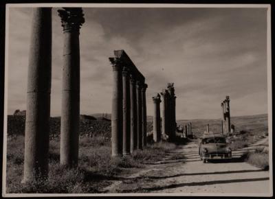 شارع الأعمدة في مدينة جرش الأردنية، في خمسينيات القرن العشرين 