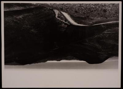 The Road Leading to the Dead Sea and the Jordan Valleys, a Photograph of Studio Rex, the 1950s 