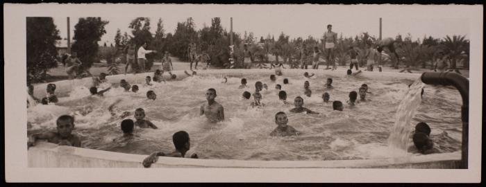 A Postcard by the Arab Development Society, Jericho