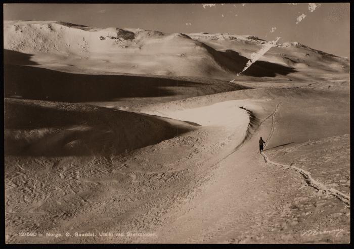 A Letter to Musa al-Alami, Oslo, 1981