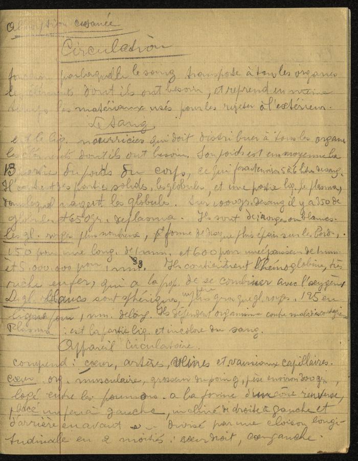 A Notebook