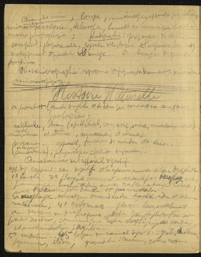 A Notebook