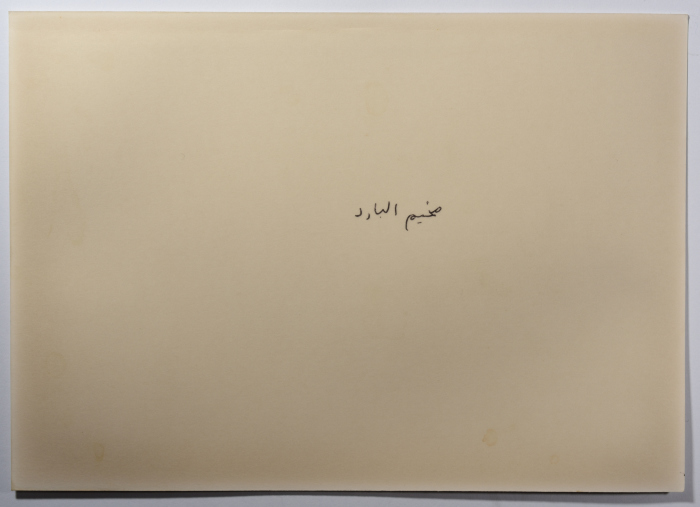 عائلة فلسطينية، مخيم نهر البارد، 1982- 1988