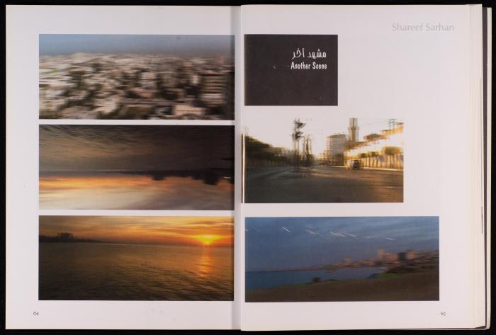 The Outcome of the Workshops in Ramallah and Gaza, 2005