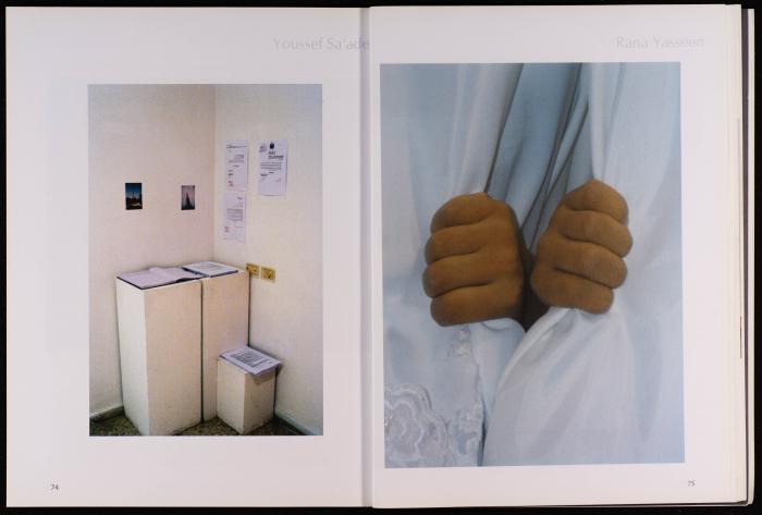 The Outcome of the Workshops in Ramallah and Gaza, 2005