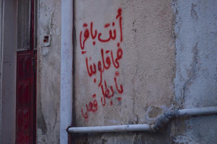 عبارات وطنية وشعارات على أحد الجدران في مخيم الدهيشة، بيت لحم، 2015
