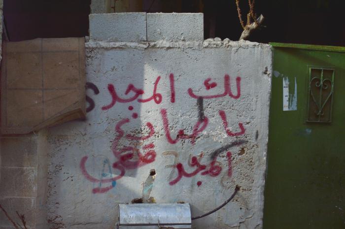 صور لعبارات وشعارات وطنية على أحد الجدران في مخيم الدهيشة، بيت لحم، 2015