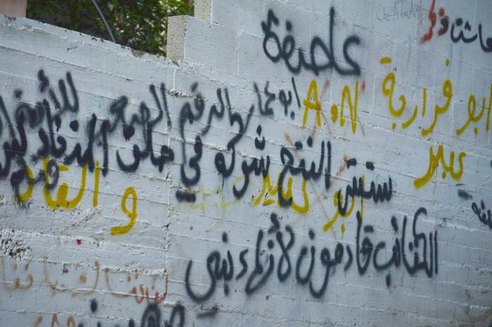 صورة لعبارات وشعارات وطنية على أحد الجدران في مخيم الدهيشة، بيت لحم، 2015
