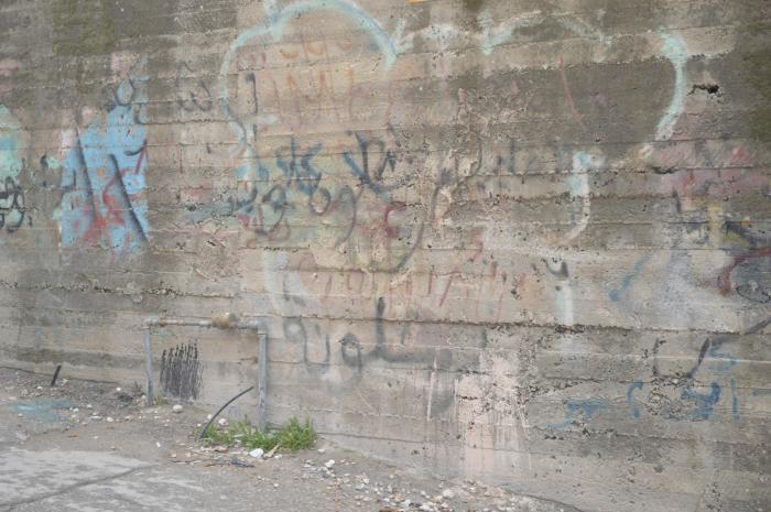 عبارات وطنية وشعارات على أحد الجدران في مخيم الدهيشة، بيت لحم، 2015