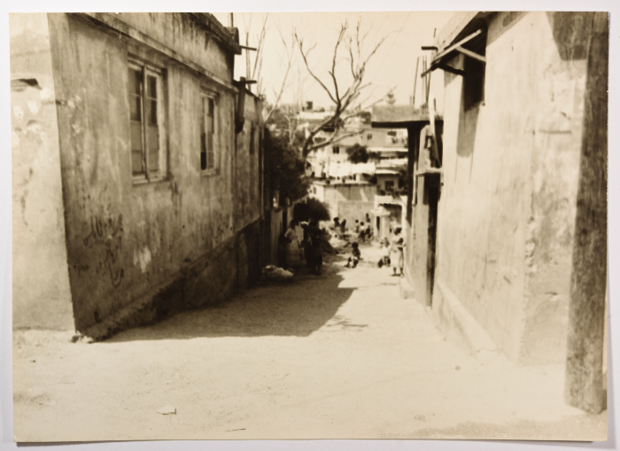 زقاق، مخيم نهر البارد