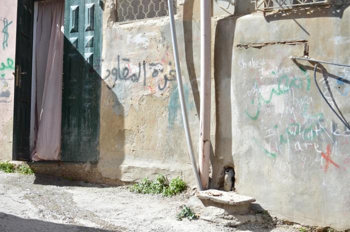 عبارات وطنية وشعارات على أحد الجدران في مخيم الدهيشة، بيت لحم، 2015