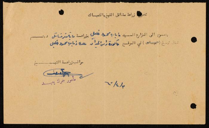 تصريح زراعة مشاتل التبغ والتمباك