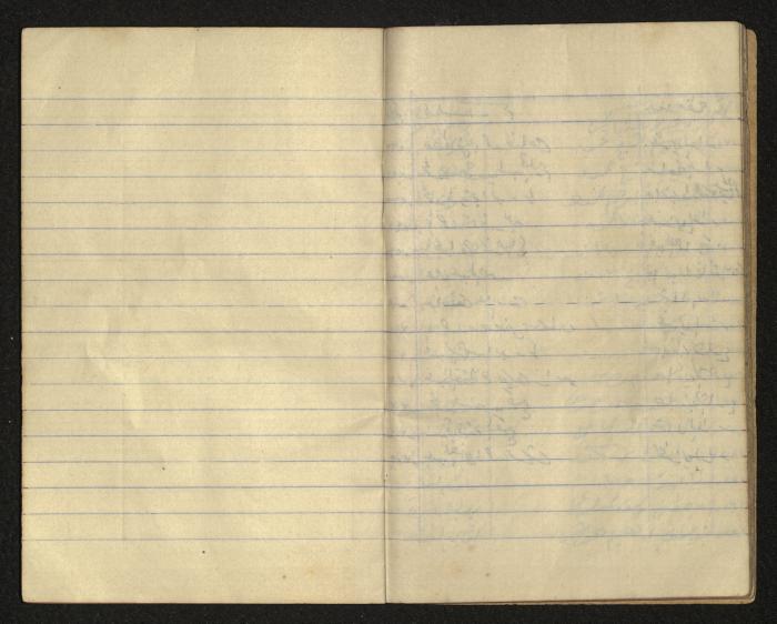 The Ya'bad Village Mukhtar's Notebook