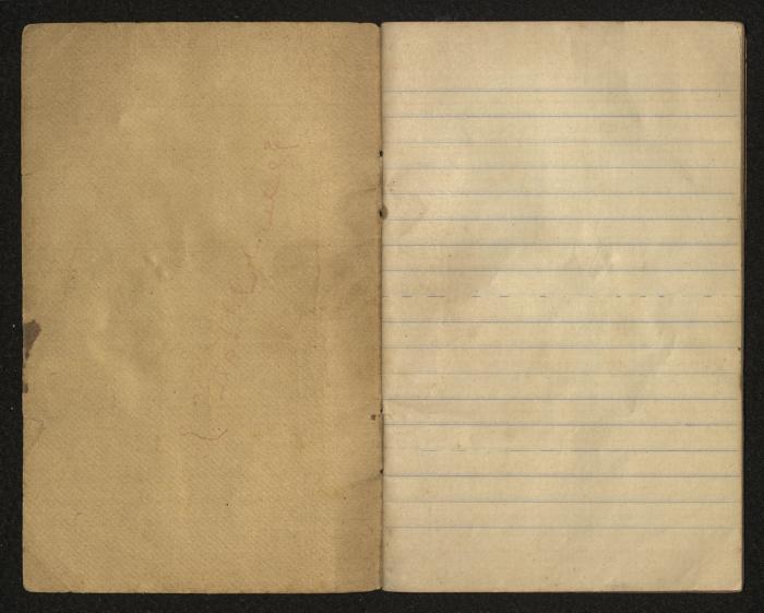 The Ya'bad Village Mukhtar's Notebook