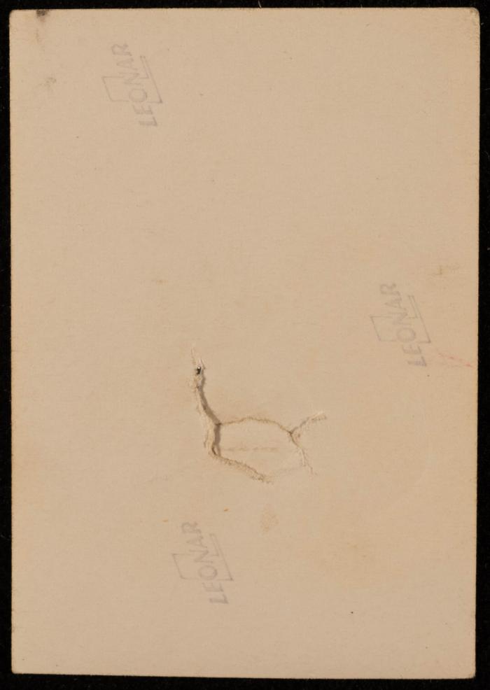 صورة جماعية لفتاتين غير معروفات