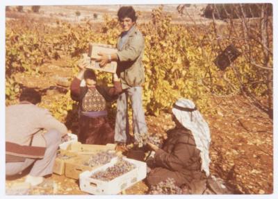 A Portrait of Bader Inaim, Suhail, Nimeh, and Zuhair Ibregeith, the 1980s 