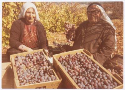 A Portrait of Bader Abuayyash and Wife Fatimah Ibregeith, the 1970s