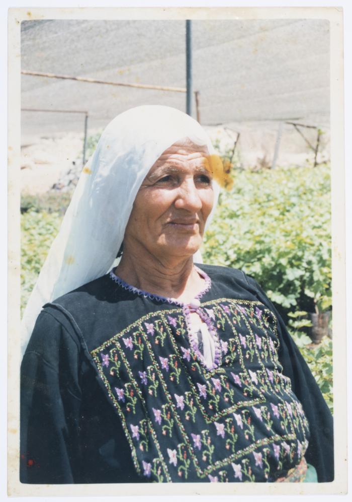 A Portrait of Nimeh Ibregeith, the 1990s