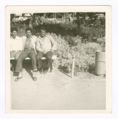 لقطة لعدد من الأصدقاء وهم من اليمين: عدنان درويش، رشاد ابو ريالة، علي عبيد.