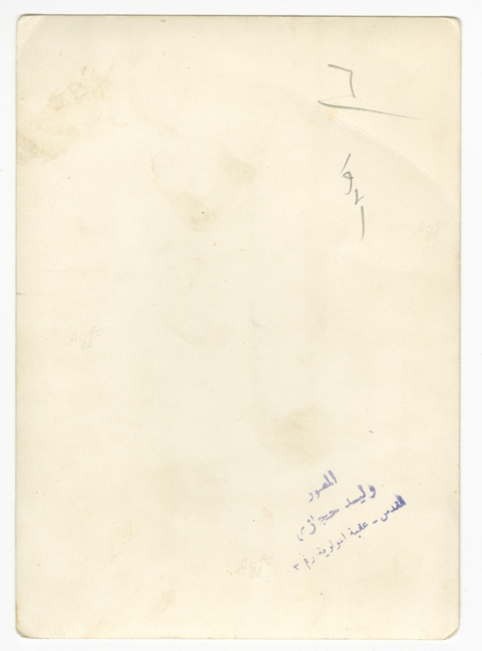 A Photograph of a Family in Nature