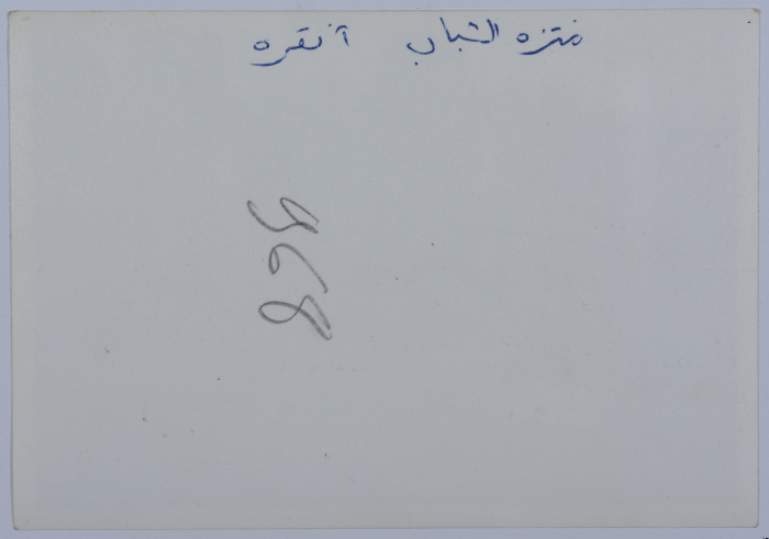 Mahira Dajani and Others, Ankara