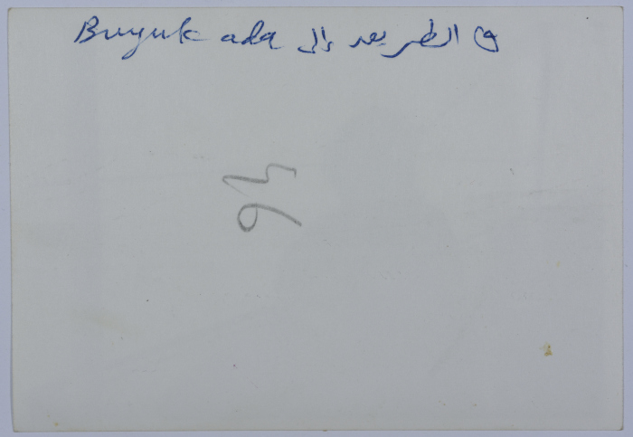 Mahira Dajani, Istanbul