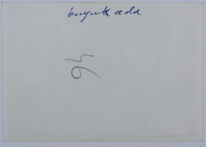 Mahira Dajani, Istanbul