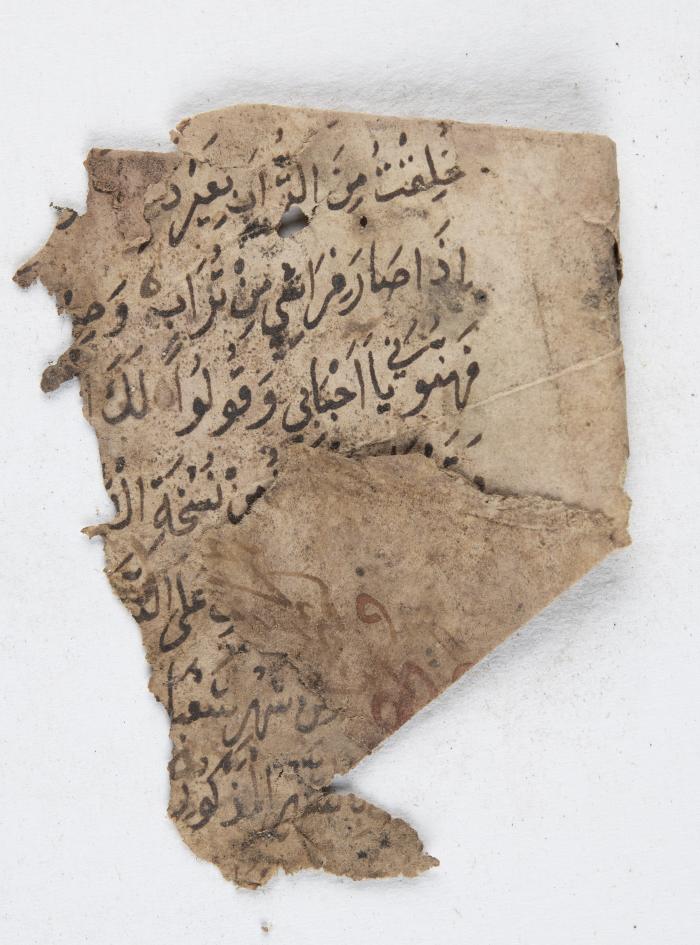 قصاصة من مخطوطة إسلامية
