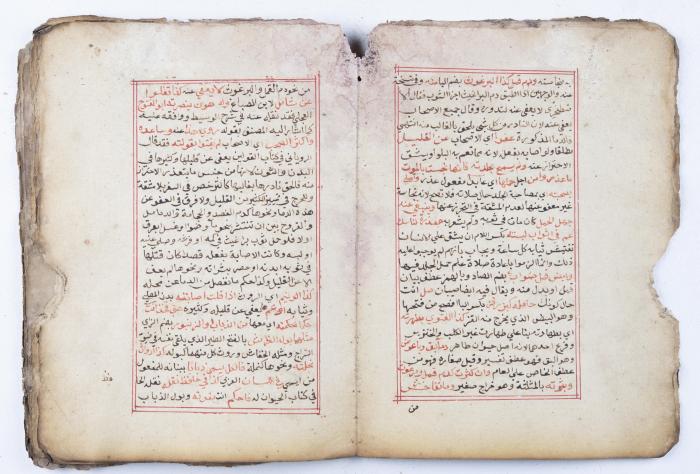 مخطوطة كتاب 