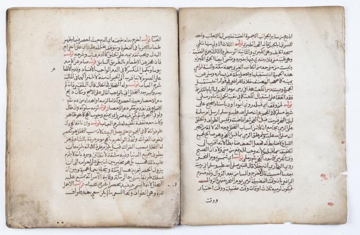 جزء من مخطوطة تتضمن شرحاً لمسألة الأضحية والذبح في الدين الإسلامي 
