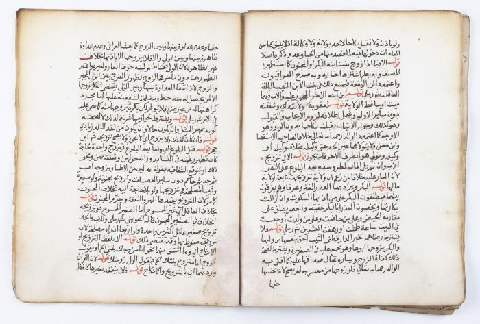 جزء من مخطوطة تتضمن شرحاً لمسألة الأضحية والذبح في الدين الإسلامي 