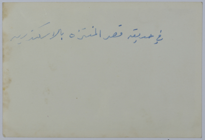 Girls on a Trip, Alexandria