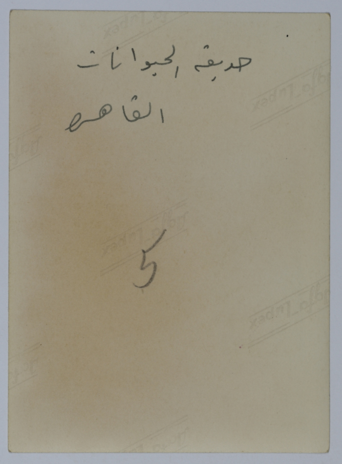 Women at the Zoo, Cairo