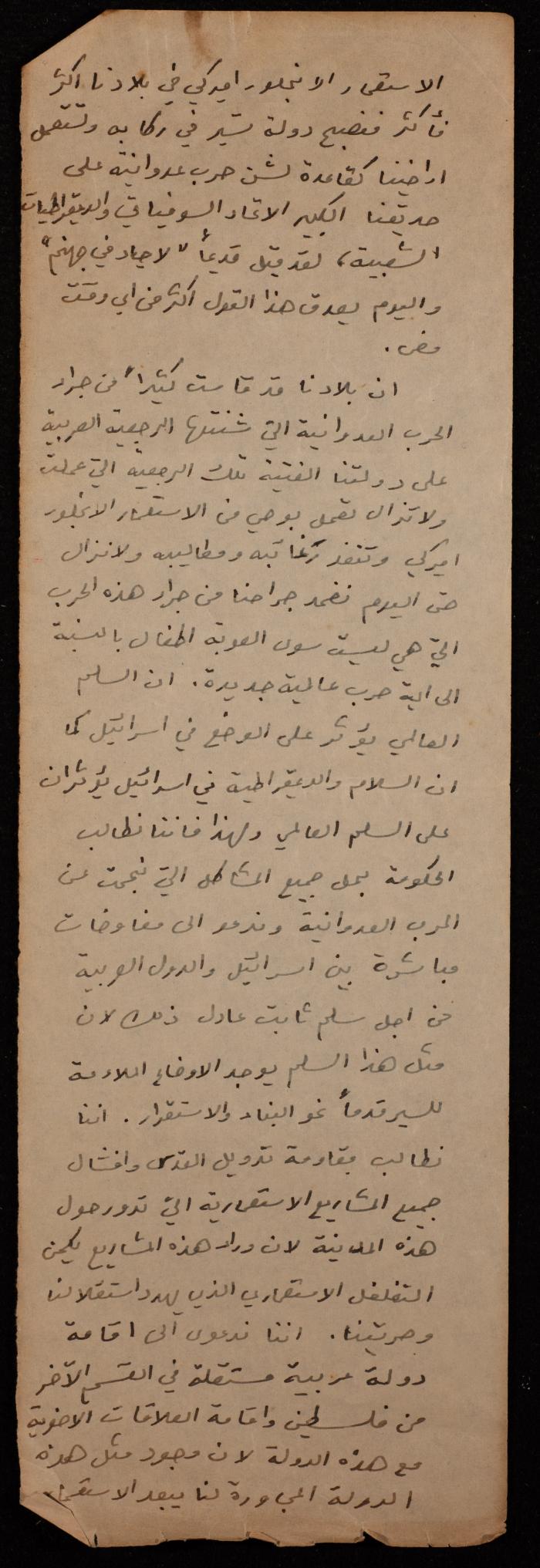 Hanna Naqara's Speech during the World Peace Campaign