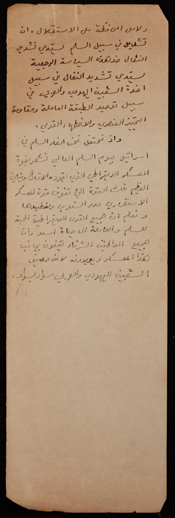 Hanna Naqara's Speech during the World Peace Campaign