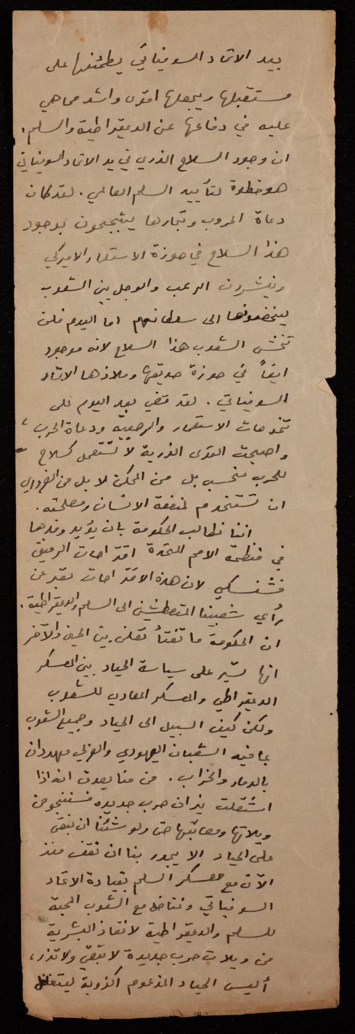 Hanna Naqara's Speech during the World Peace Campaign