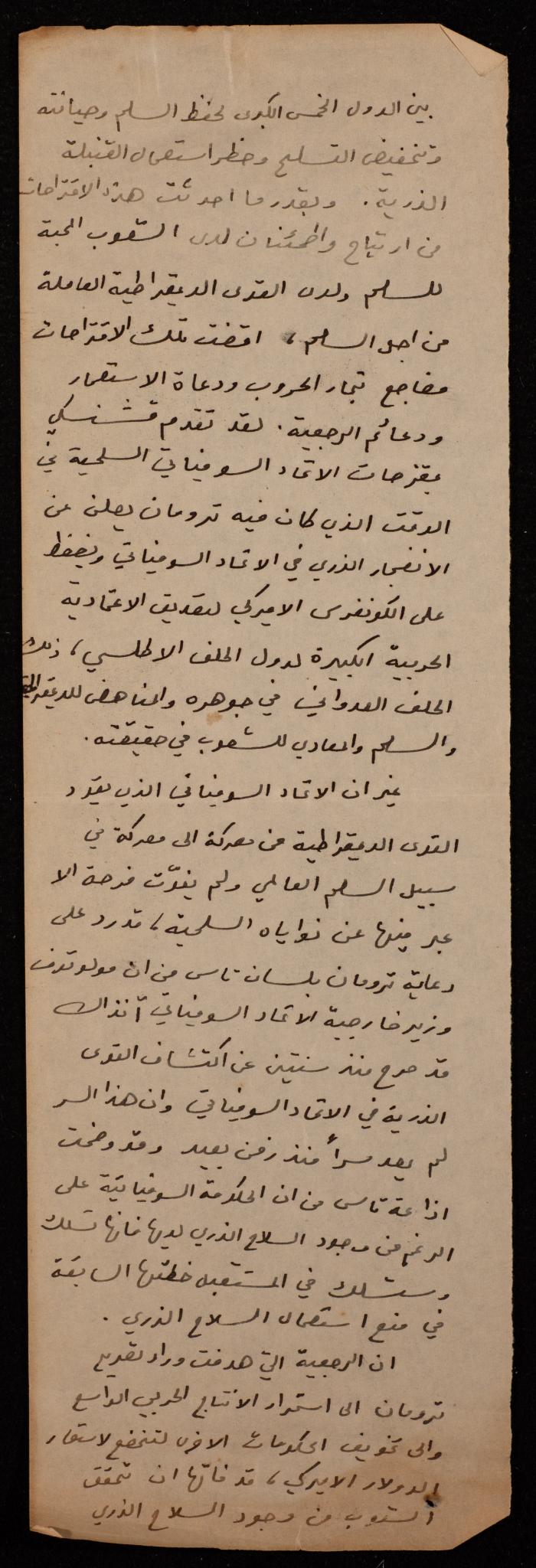 Hanna Naqara's Speech during the World Peace Campaign