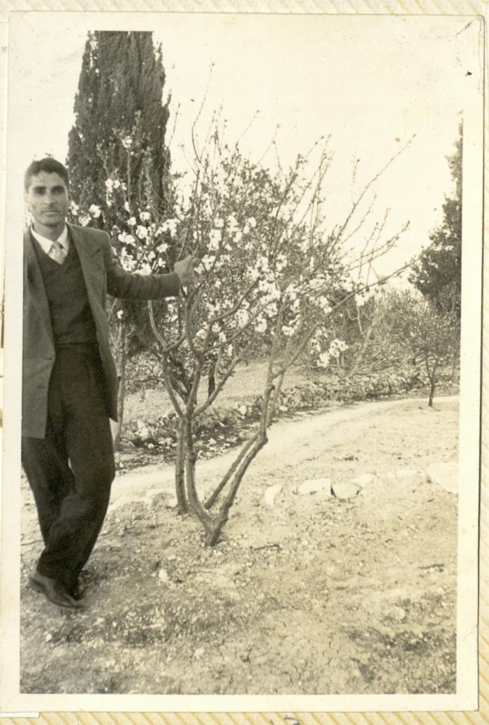 Yasir Jadallah, Sur Baher, 1953 